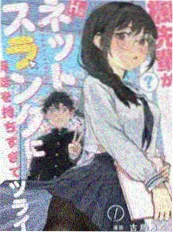 本周追更榜第四名封面